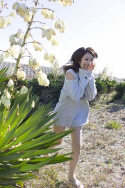 回复术士重启人生樱花动漫